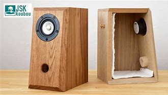 Image result for Acoustic Amplifier Timber