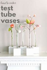 Image result for Test-Tube Vase DIY