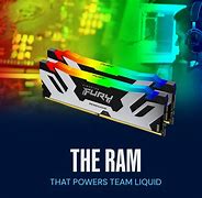 Image result for Team Liquid Players