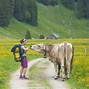 Image result for Visit Switzerland