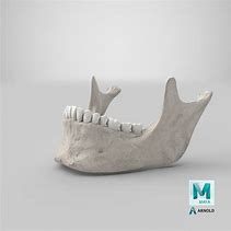 Image result for Jawbone Models