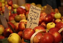 Image result for Honeycrisp Apple Tree Blossom