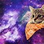 Image result for Galaxy Wallpaper for Phone Cats