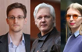 Image result for Famous Whistleblowers Books