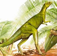 Image result for fabrosaurus