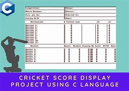 Image result for Cricket Cue Card