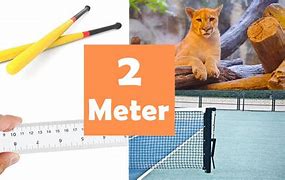 Image result for 2 Meters Wide