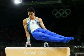Image result for Gymnastic Horse Equipment