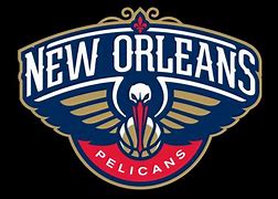 Image result for Pelicans Snowball Logo