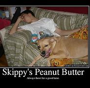 Image result for Skippy Peanut Butter Dumb Picture