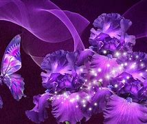 Image result for Pink Purple Butterfly Desktop