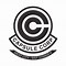 Image result for Capsule Logo
