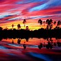 Image result for Sunset Color Picture