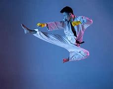 Image result for Martial Arts Techniques