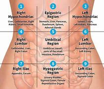 Image result for abdominap
