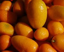 Image result for Little Orange Fruit