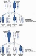 Image result for Inherited Genetic Disorders