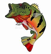 Image result for Peacock Bass Clip Art