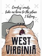 Image result for West Virginia Cat Meme