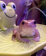 Image result for Baby Frog Meme