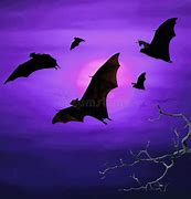 Image result for Night Sky Bats