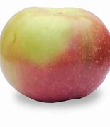 Image result for Macintosh Apple Seeds