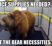 Image result for Bear Office Meme