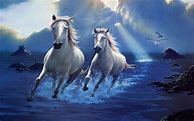 Image result for Horse iPhone Wallpaper Night