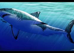 Image result for Great White Shark Art