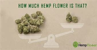Image result for How Much Is 420 Grams of Flower
