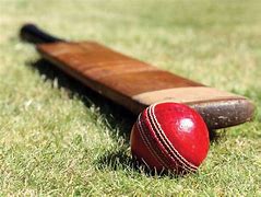 Image result for Real Cricket Bat