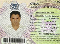Image result for Singapore Visa Page