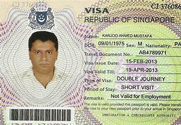 Image result for Singapore E Visa