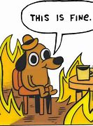 Image result for This Is Fine Cold Meme