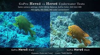 Image result for GoPro Hero 5 Black vs Hero 6 Black