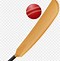 Image result for Cricket Bat Ball Illustration