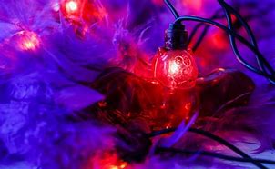 Image result for Halloween Bat Lights