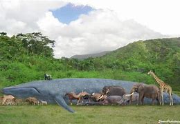 Image result for World's Largest Picture in Size