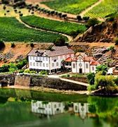 Image result for Quinta do Vesuvio Porto