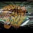 Image result for Hull City Tigers