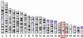 Image result for Megabyte wikipedia