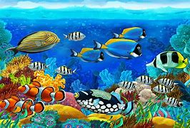 Image result for Apple Fish Wallpaper High Resolution
