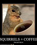 Image result for Good Morning Funny Squirrel
