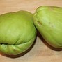 Image result for fruitiest