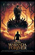 Image result for black panthers wakanda forever