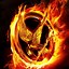 Image result for Hunger Games Wallpaper Phone