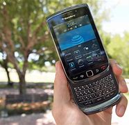 Image result for Torch Berry