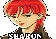 Image result for Sfex Sharon