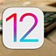 Image result for iPad Mini iOS 12