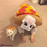 Image result for Cat in the Pizza Costume Meme
